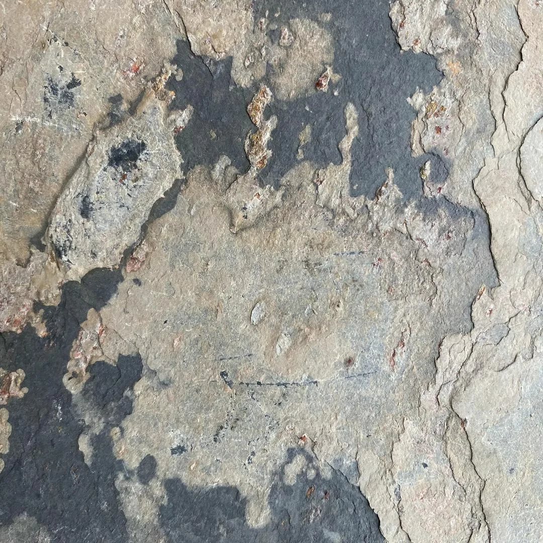 Каменный шпон